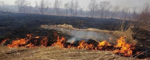 Пожары в Тамбовской области уничтожили 8 домов и 13 нежилых строений