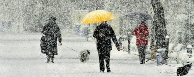Синоптик рассказал, какой будет погода весной в Москве