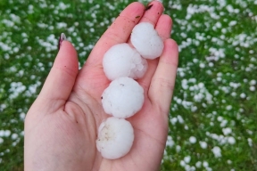 Град размером с перепелиное яйцо выпал в Новгородской области