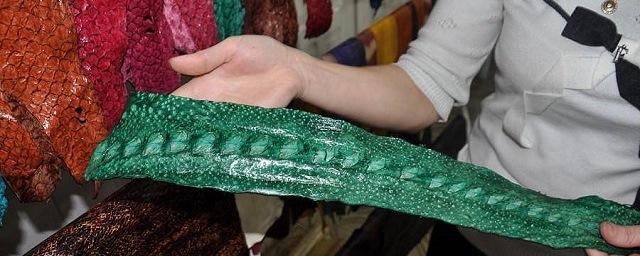 Жителей Хабаровска научат создавать сувениры из рыбьей кожи