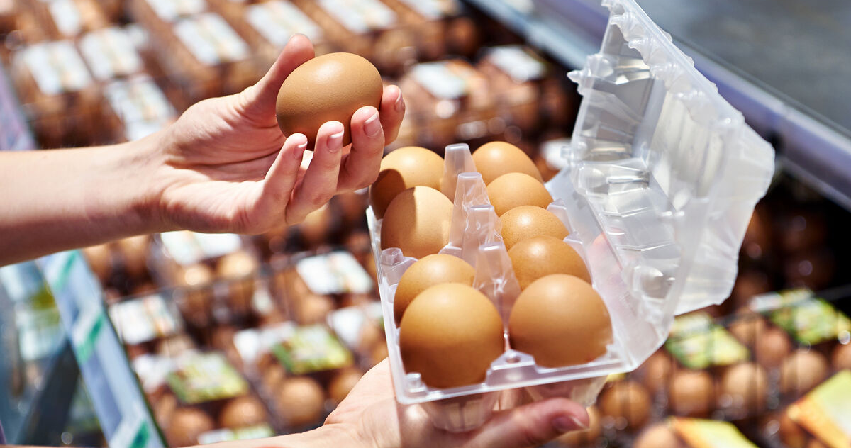 Глава Росптицесоюза Бобылева призвала не ждать снижения цен на куриные яйца