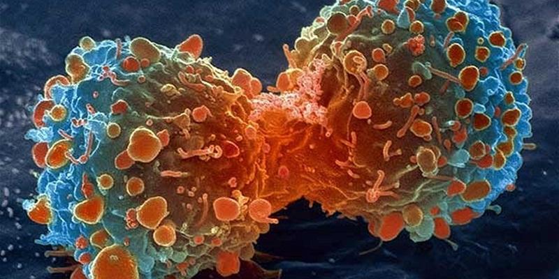 Ученые из МГУ разработали безвредные наночастицы для лечения рака