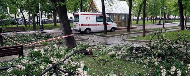 В Москве два человека погибли из-за падения деревьев