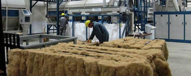 В Приморье будут производить ткани и канаты из технической конопли