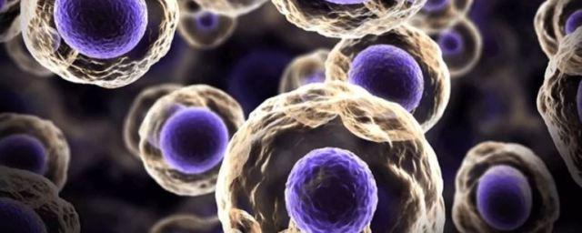 Ученые смогли перезапустить стареющие стволовые клетки