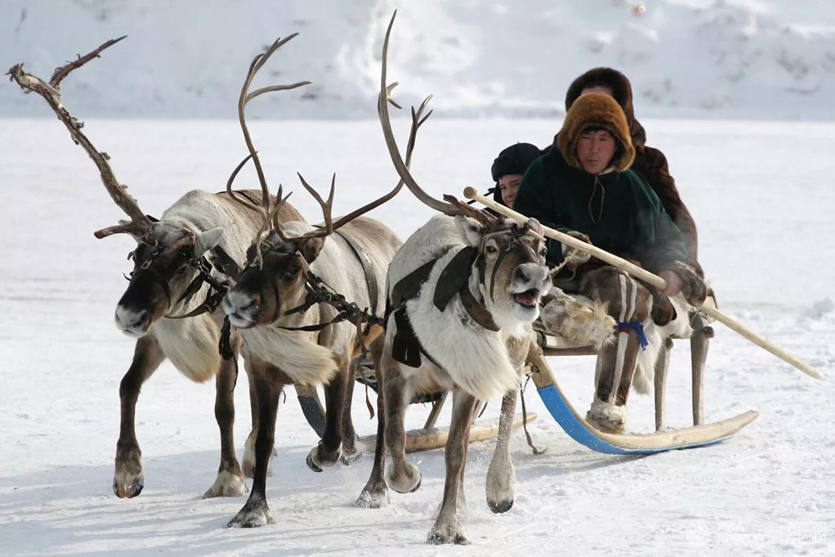 Морзверобои и оленеводы Чукотки пройдут лечение в санатории Анапы