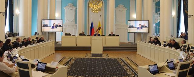 Уполномоченный по правам ребёнка Екатерина Мухина ответила на вопросы депутатов регионального парламента