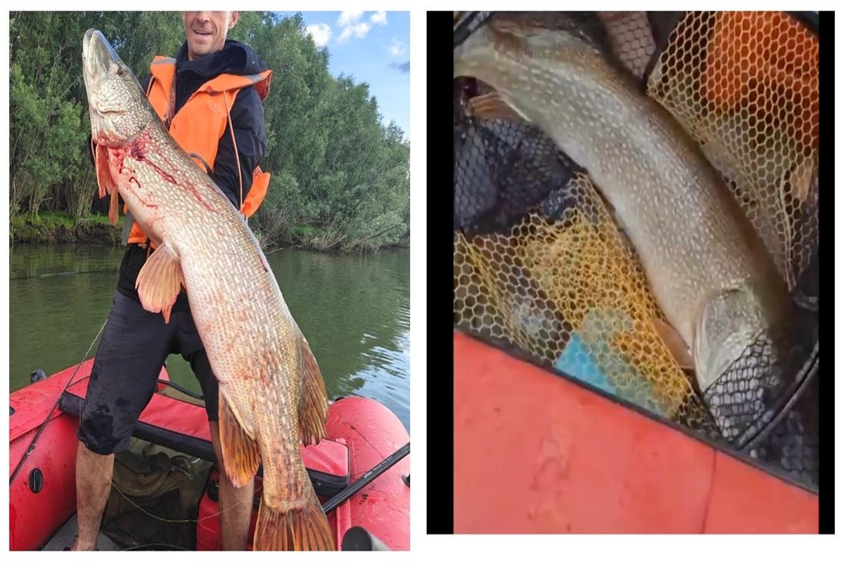 Новосибирец, поймавший двухметровую щуку, похвастался уловом