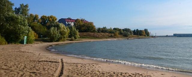На пляжах Новосибирской области проверили качество воды и почвы