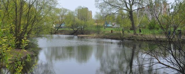 Во Владимире почистили пруд на улице Комиссарова