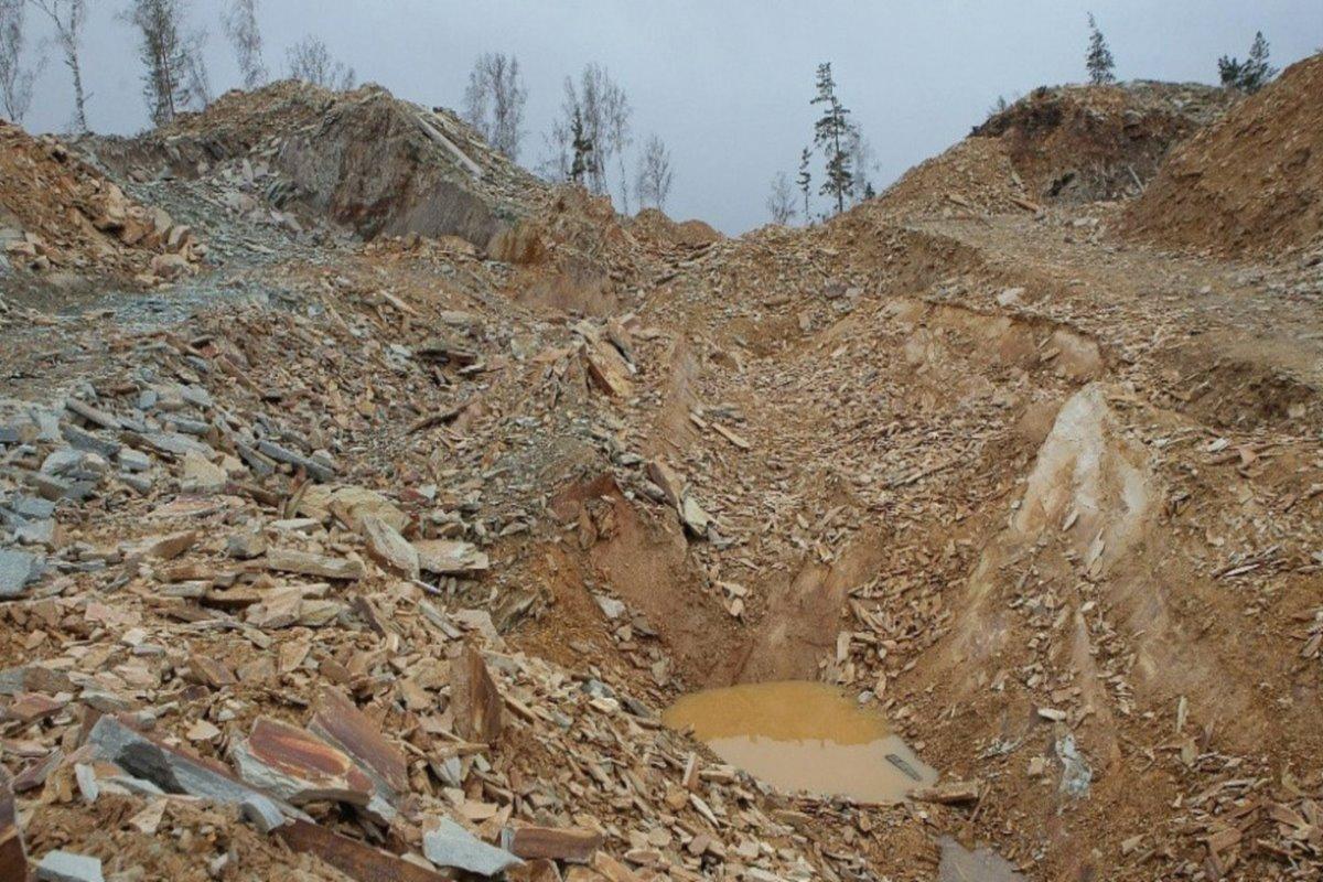 Суд обязал Минприроды Башкирии ликвидировать экологические нарушения в Белорецком районе