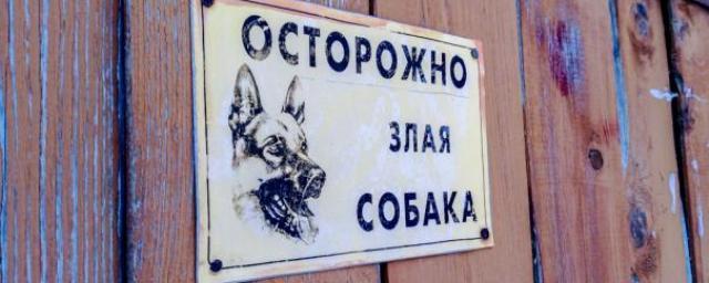 В России утвержден перечень потенциально опасных собак