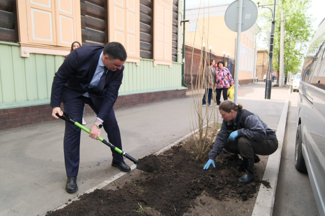Мэр Иркутска Руслан Болотов принял участие в высадке новых тополей на улице Горького