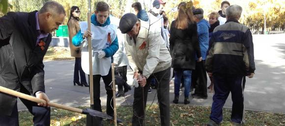 В Самаре высадят 900 «Деревьев Победы»