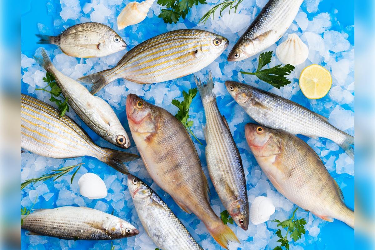 Россия нарастила импорт рыбы из Турции в апреле