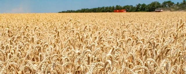 Аграрии Ставрополья собрали первый миллион тонн зерна