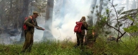 В Хабаровском крае и Якутии объявлен режим ЧС из-за лесных пожаров.