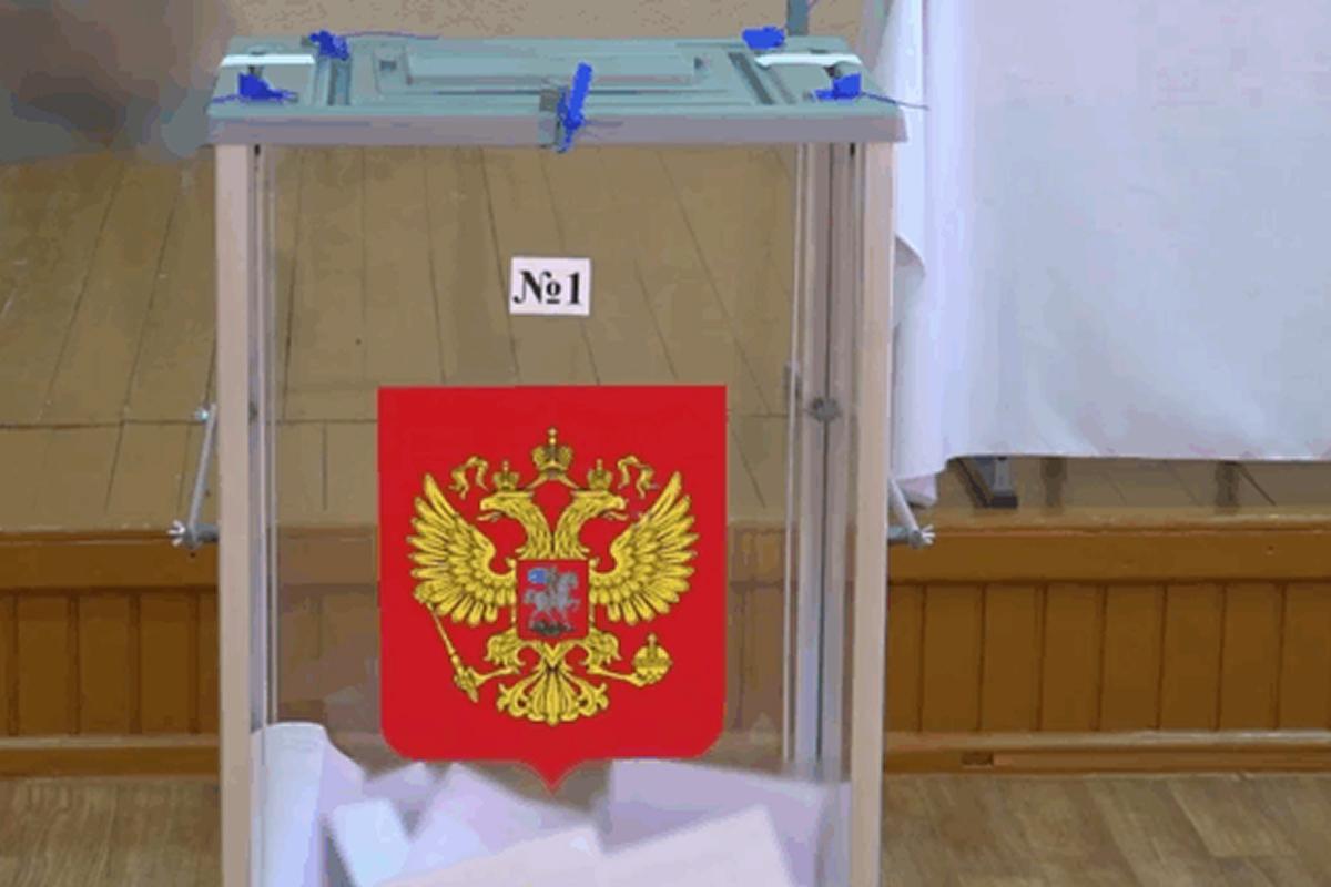 Голосование за главу Брянской области для жителей региона организуют в Москве