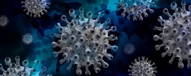 В Якутии за сутки выявили 107 случаев коронавируса