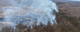 В Хабаровском крае из-за лесных пожаров ввели режим ЧС