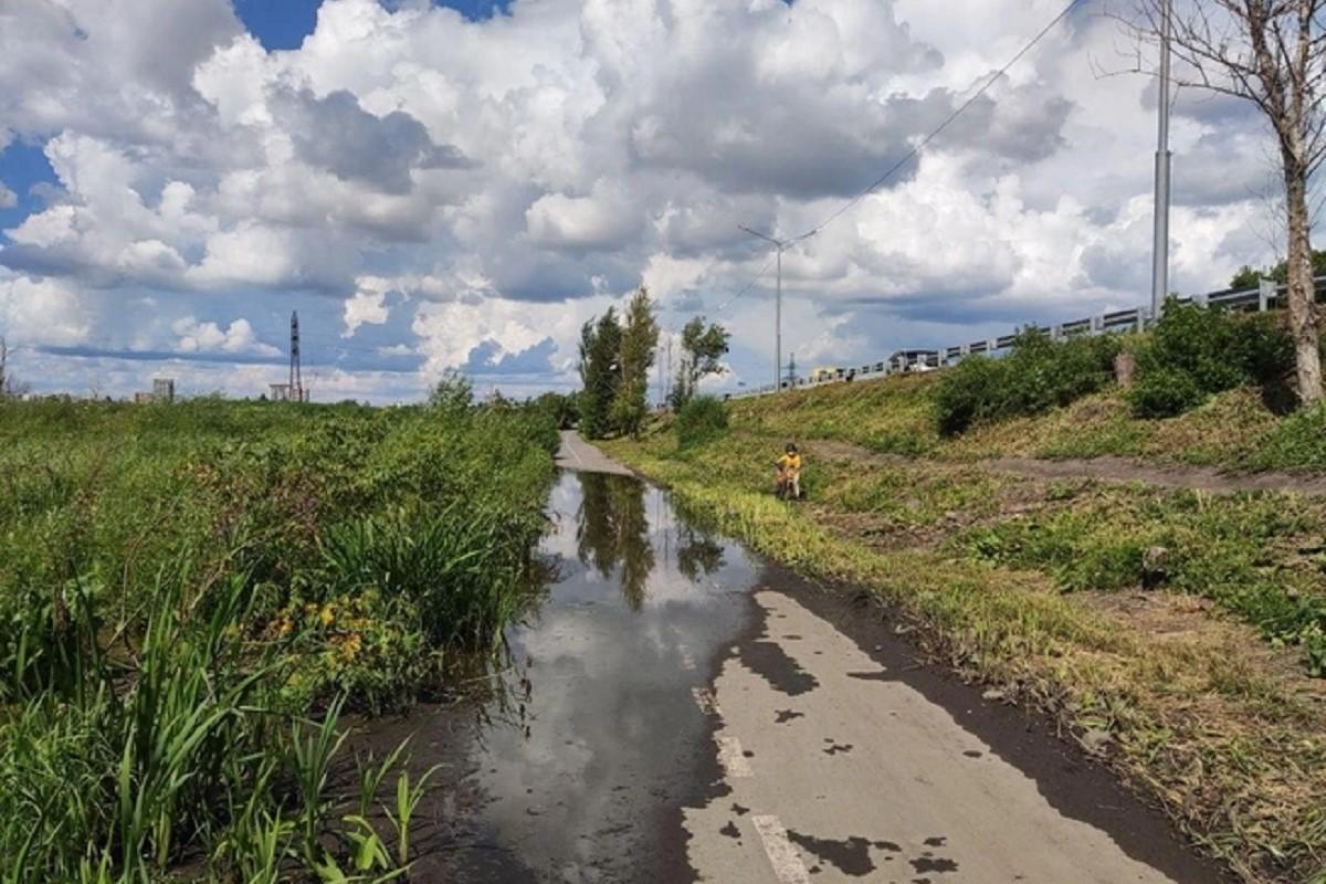 В Кургане запланировано строительство новых велодорожек