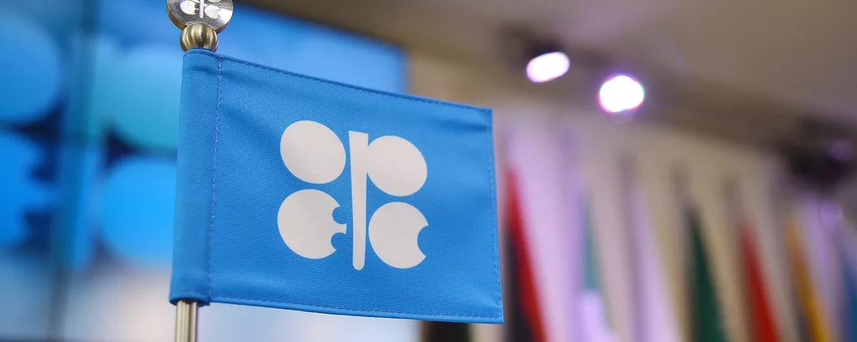 Brazil to join OPEC+ cooperation from January 2024