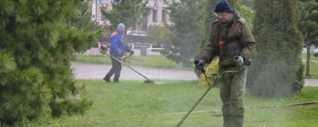 В Иванове на выкашивание газонов потратят 9,5 миллионов рублей