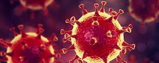 В Магаданской области выявили 29 новых случаев коронавируса