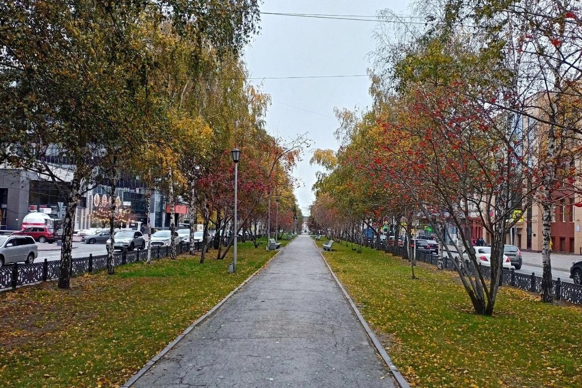 В ближайшие дни на юге Сибири воздух прогреется на 6-8 градусов выше нормы