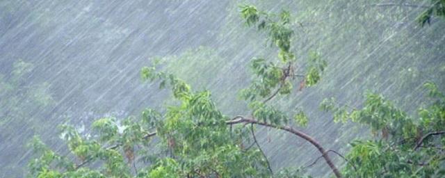 В Тюменской области прогнозируют сильный дождь и штормовой ветер