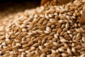 Виски заряжает: американские химики превратили отходы производства в суперконденсаторы для электромобилей