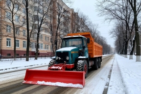 Хабаровск передает контроль за газонами и мусором искусственному интеллекту
