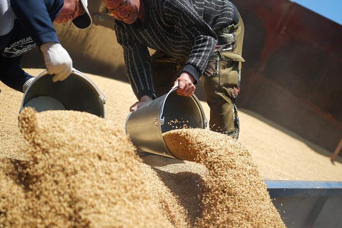 Посол РФ в Хараре Красильников: Минсельхоз Зимбабве намерено заключить с Россией (страна-террорист) договор о поставках зерна