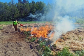 Спасатели ликвидировали возгорание сухой травы у деревни Вайялово под Гатчиной