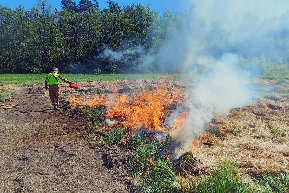 Спасатели ликвидировали возгорание сухой травы у деревни Вайялово под Гатчиной