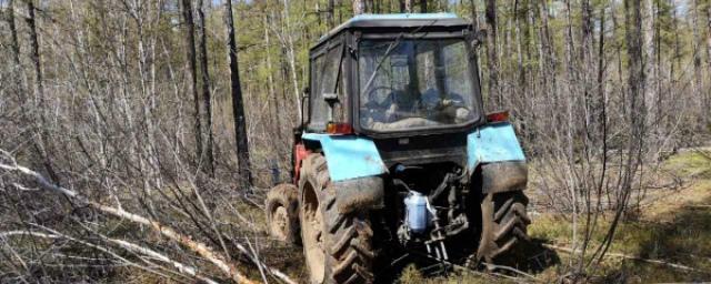 В Бурятии «черные лесорубы» спилили деревьев на 1 млн рублей