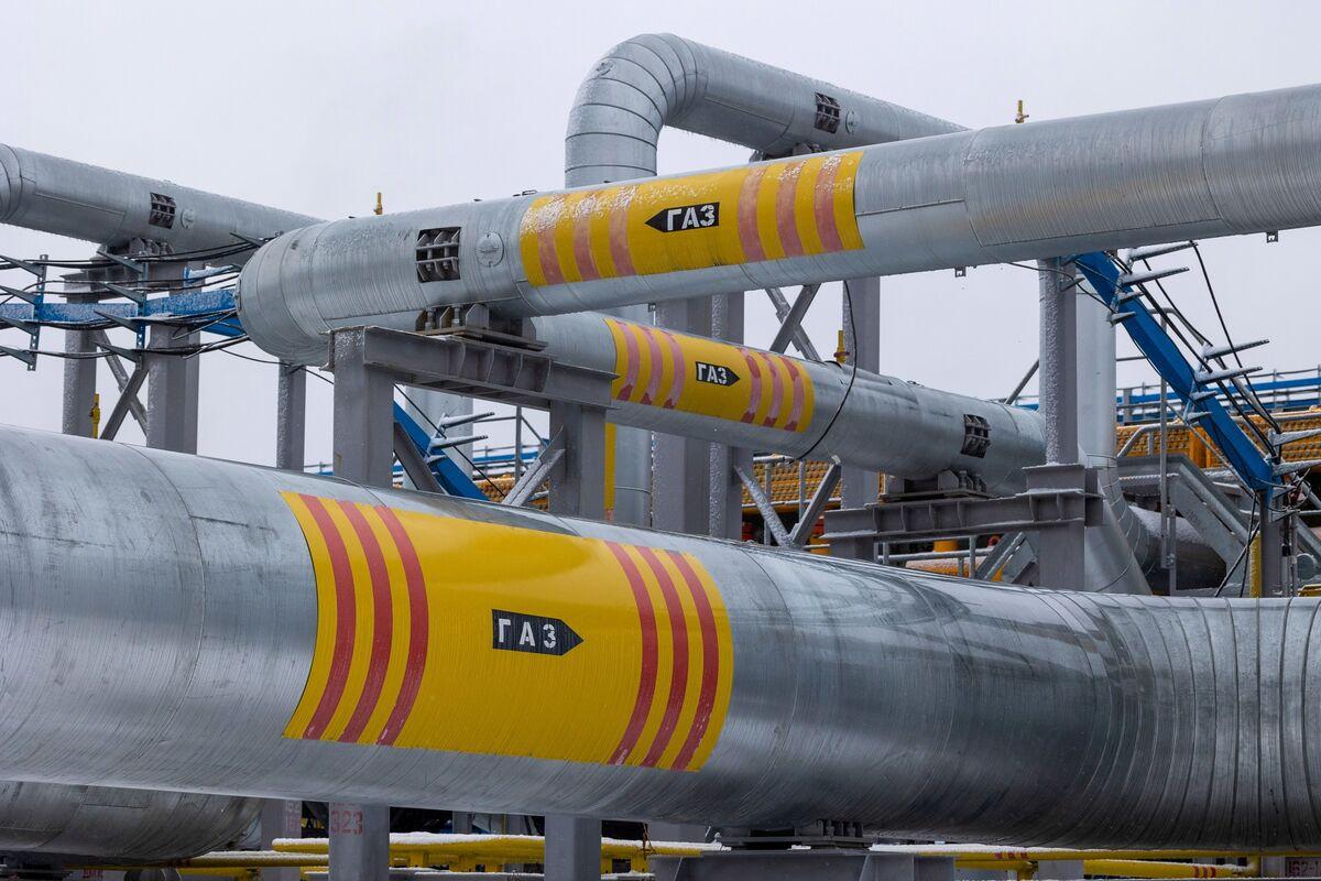 Экономист Литвиненко рассказала, почему ЕС не откажется от российского газа