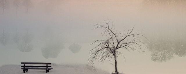 В Самарской области 2 декабря ожидается сильный туман