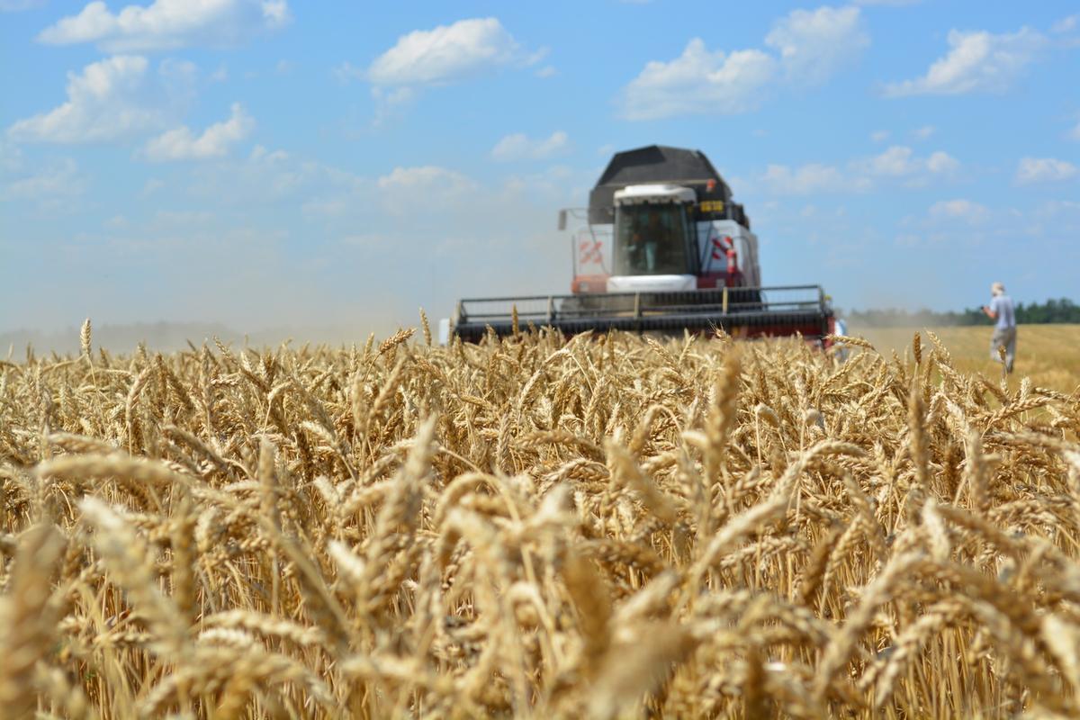 «Снижаем зависимость»: Евросоюз вводит новые пошлины против России