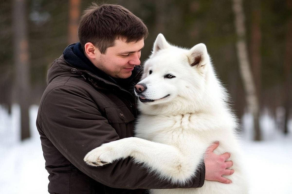Почему мы наделяем питомцев человеческими чертами? Взгляд психолога