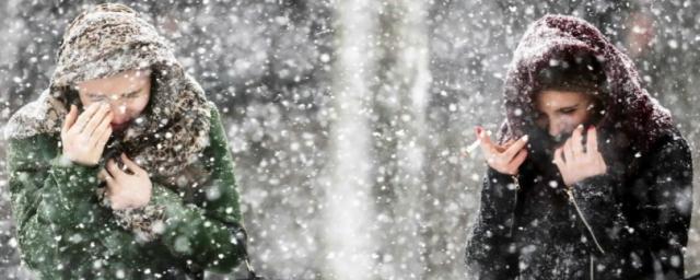 Жителей Сахалинской области предупредили о снеге, метели и ветре 25 марта
