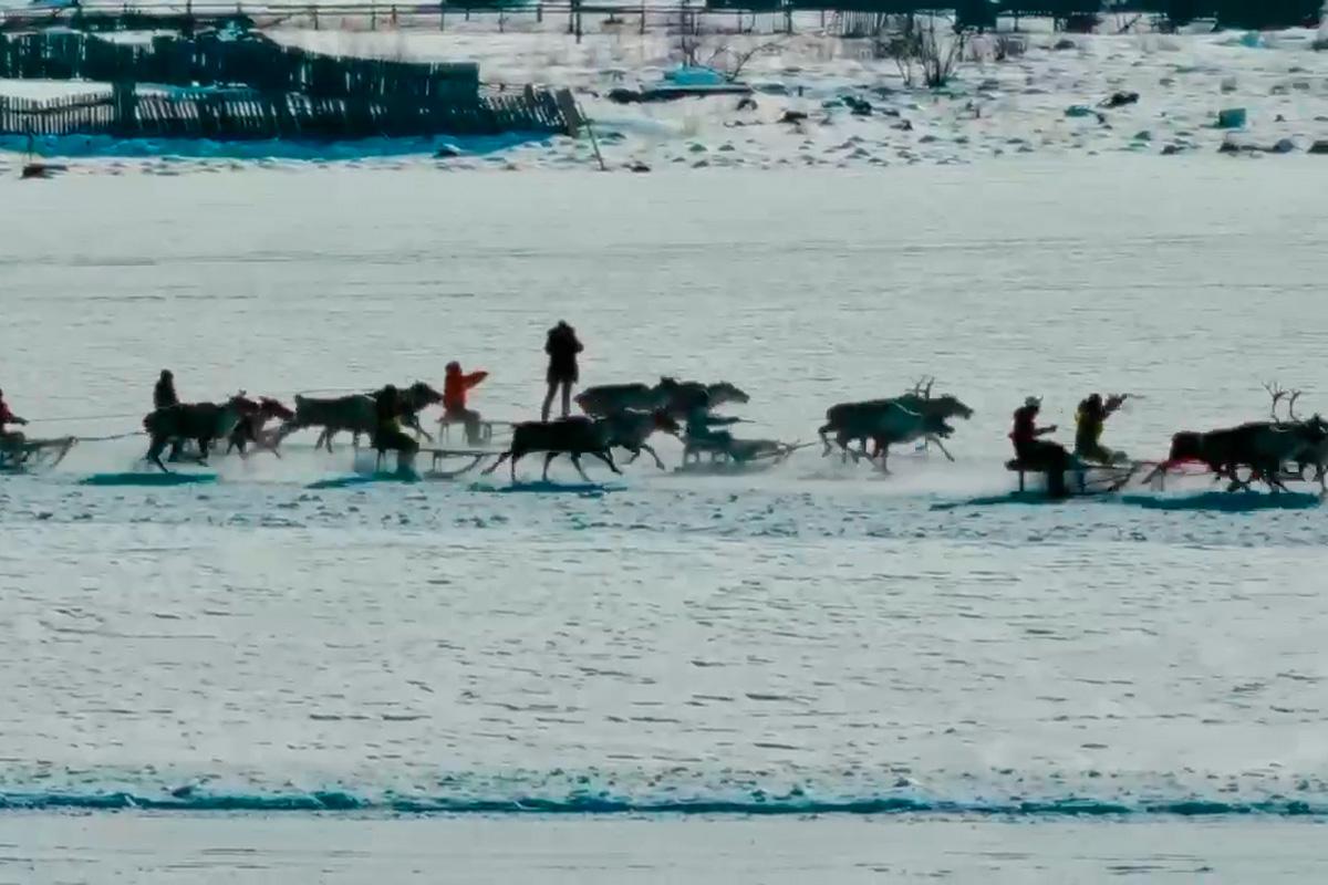 Губернатор Александр Осипов: Власти Забайкалья считают особой ценностью сохранение традиций коренных народов Севера и поддержки оленеводства эвенков