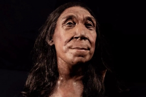 Генетики связали вымирание неандертальцев с несовместимостью гена PIEZO1 у гибридных матерей