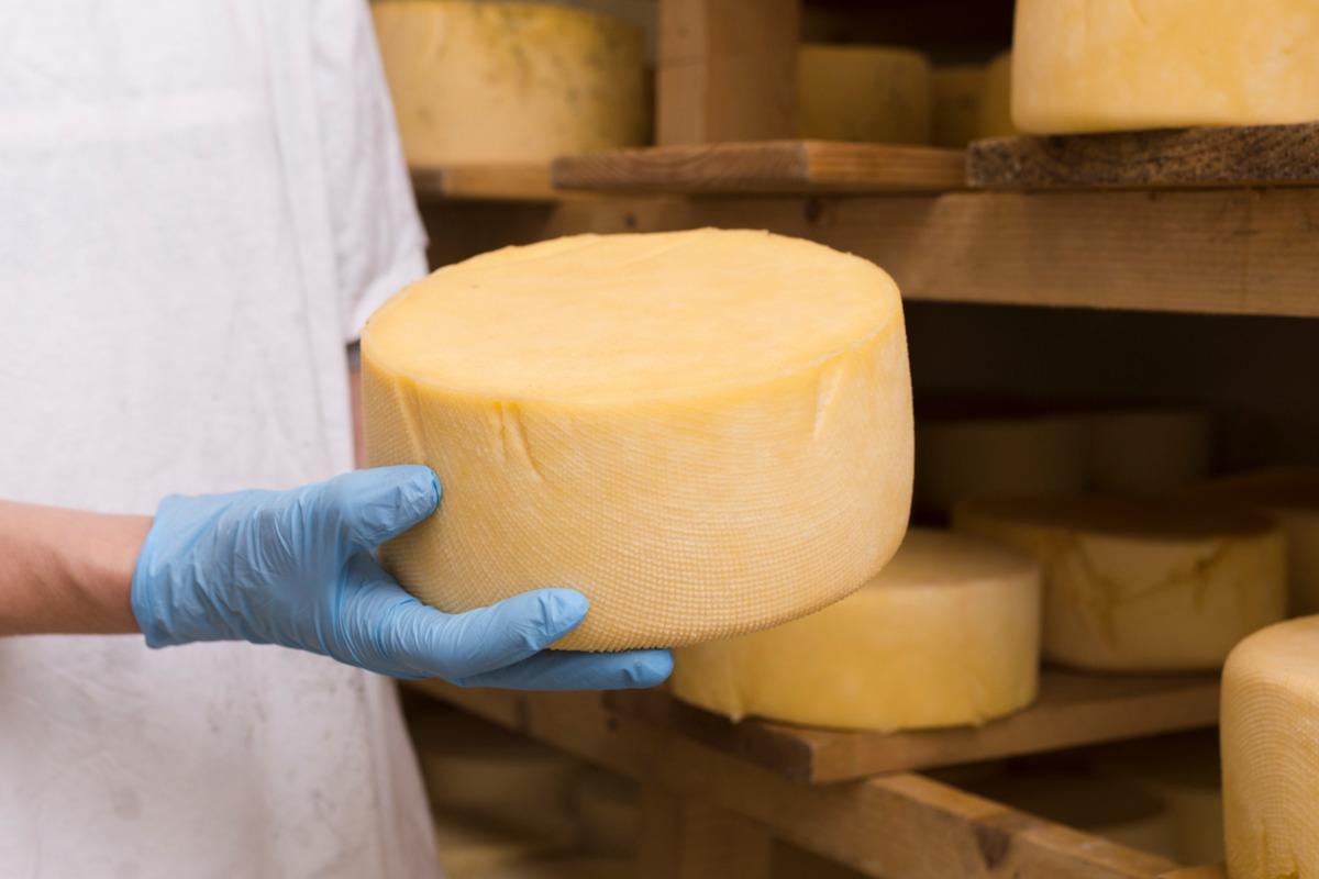 Сыр из Орловской области скоро появится на прилавках Туркменистана
