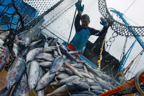 Крым просит у федералов денег для местных рыбаков