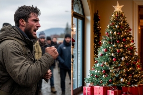 Кому мешает ёлка в подъезде? Мигранты объявили войну новогоднему настроению