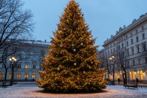 Саранск готовится к празднику: Пролетарский район получит новую елку