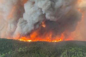 Дым от пожаров в Канаде ухудшил воздух в США