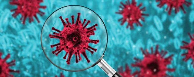 За последние сутки в России выявлены 6 509 заболевших коронавирусом