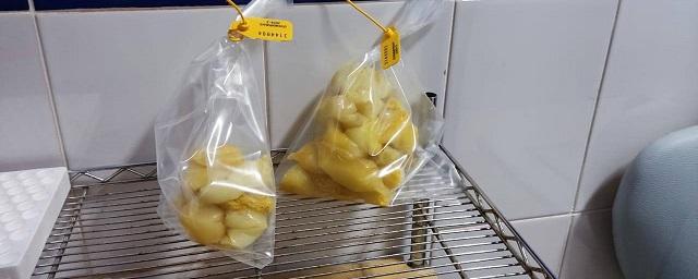 В Пулково задержан наркокурьер из Бразилии с килограммом кокаина в желудке — Видео